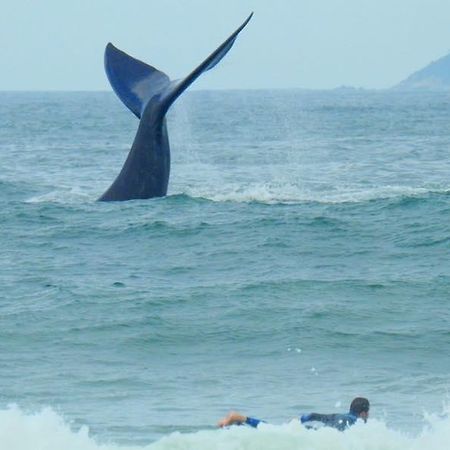 Tranquilidade Na Praia Da Gamboa Garopaba Extérieur photo